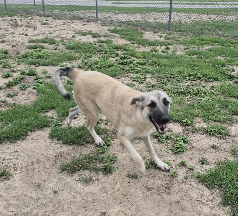 Kassidy thumbnail 3