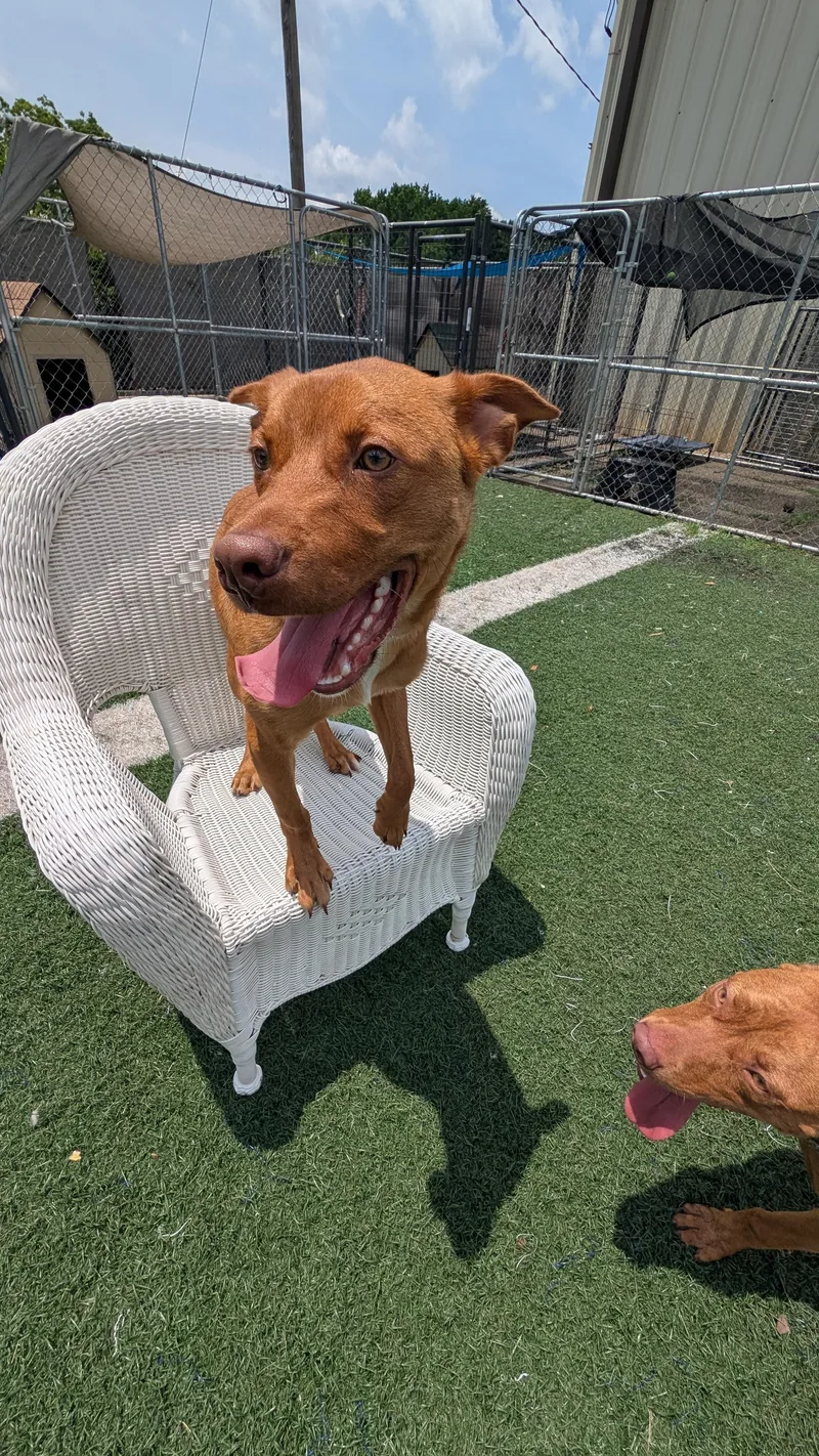 Cooper And Monte  thumbnail 2