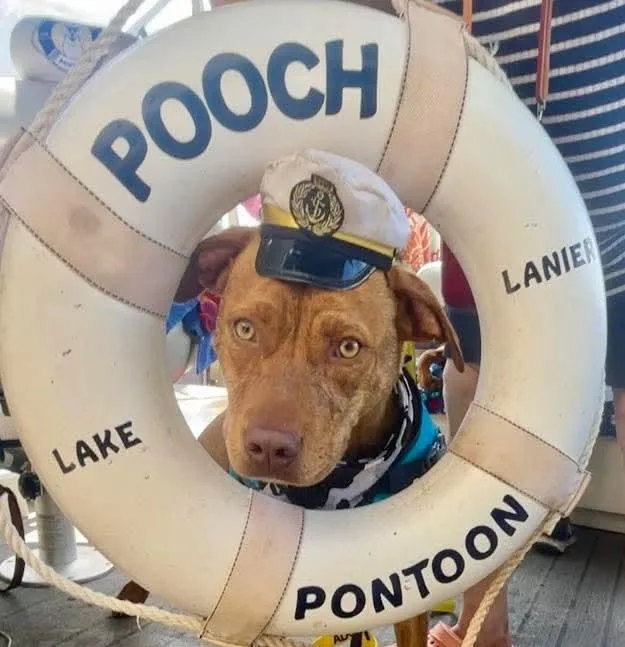 Cooper And Monte  thumbnail 3