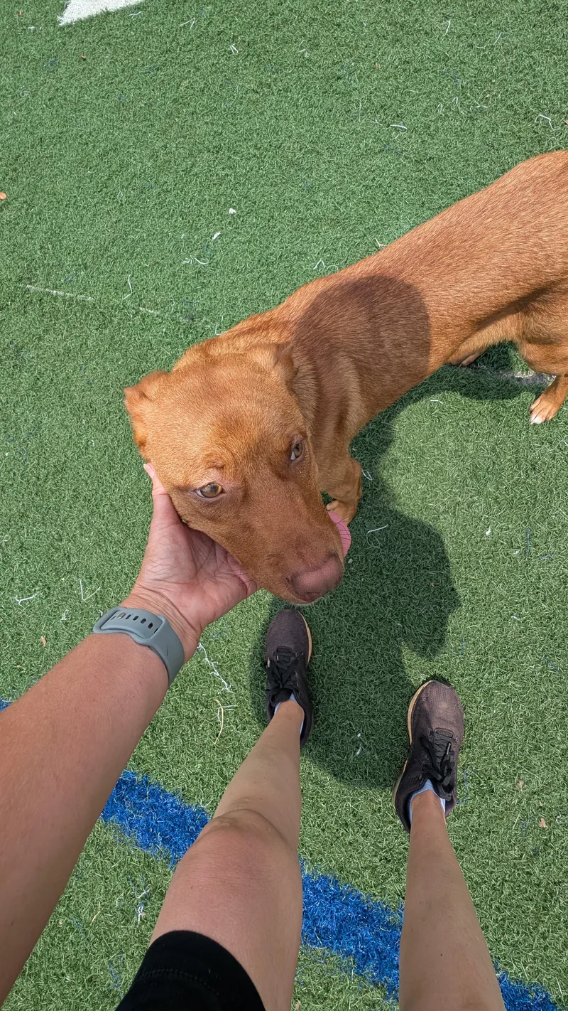 Cooper And Monte  thumbnail 4