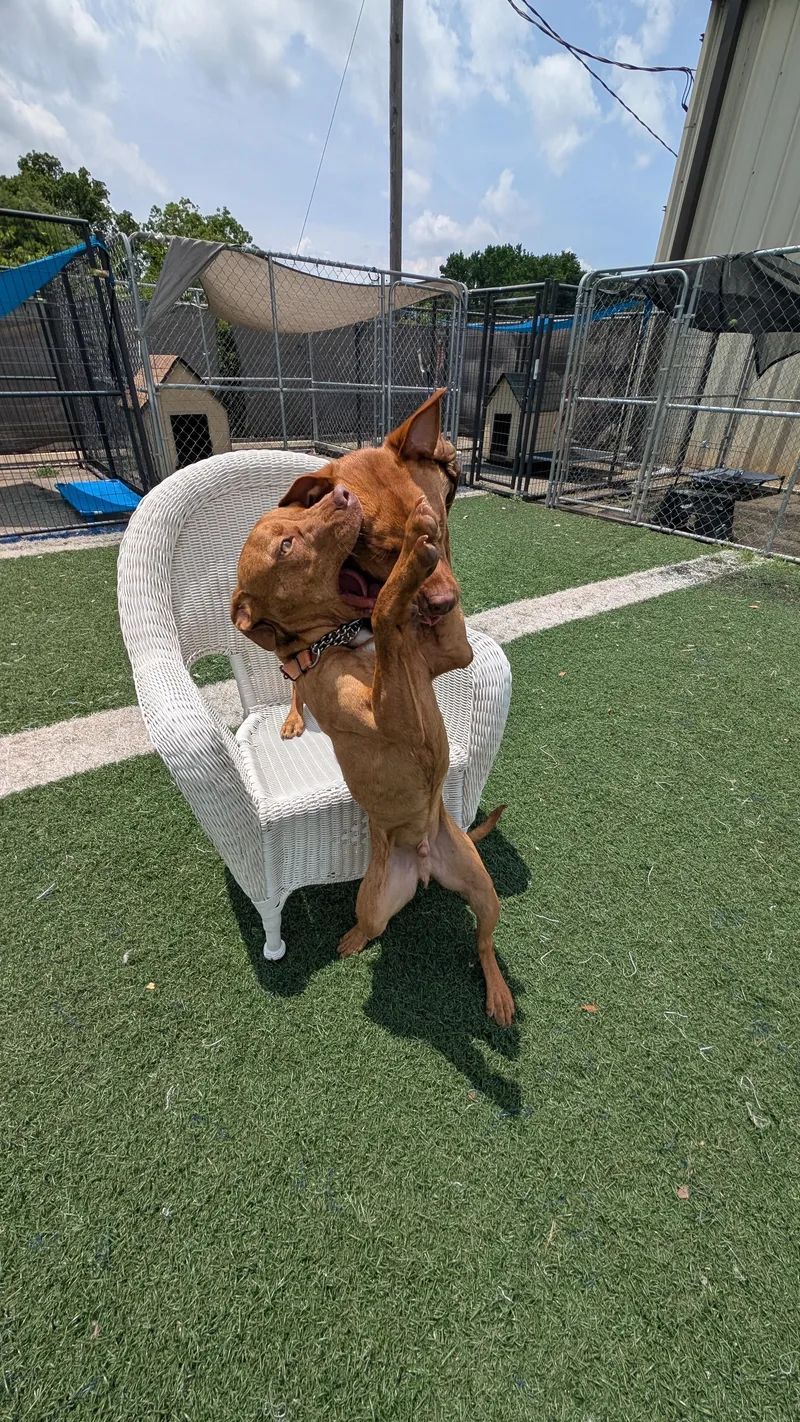 Cooper And Monte  thumbnail 5