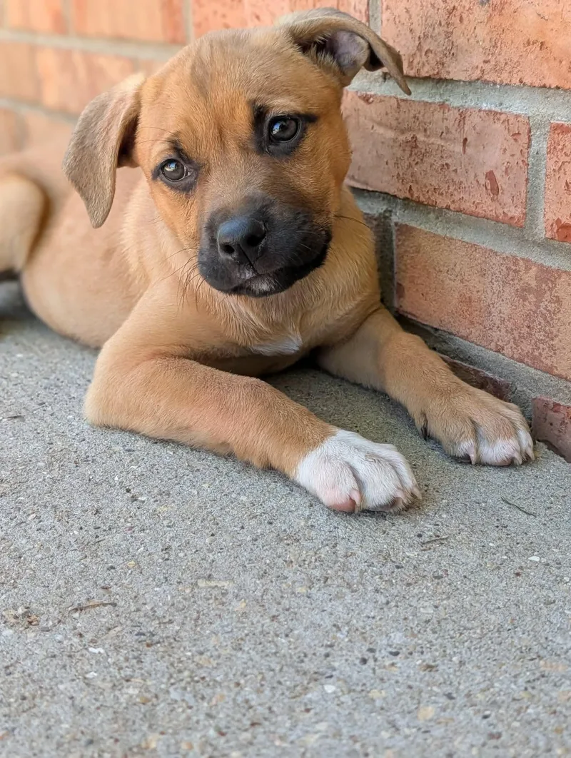 Mia