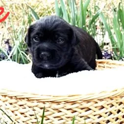 Lexi's Esme thumbnail 2