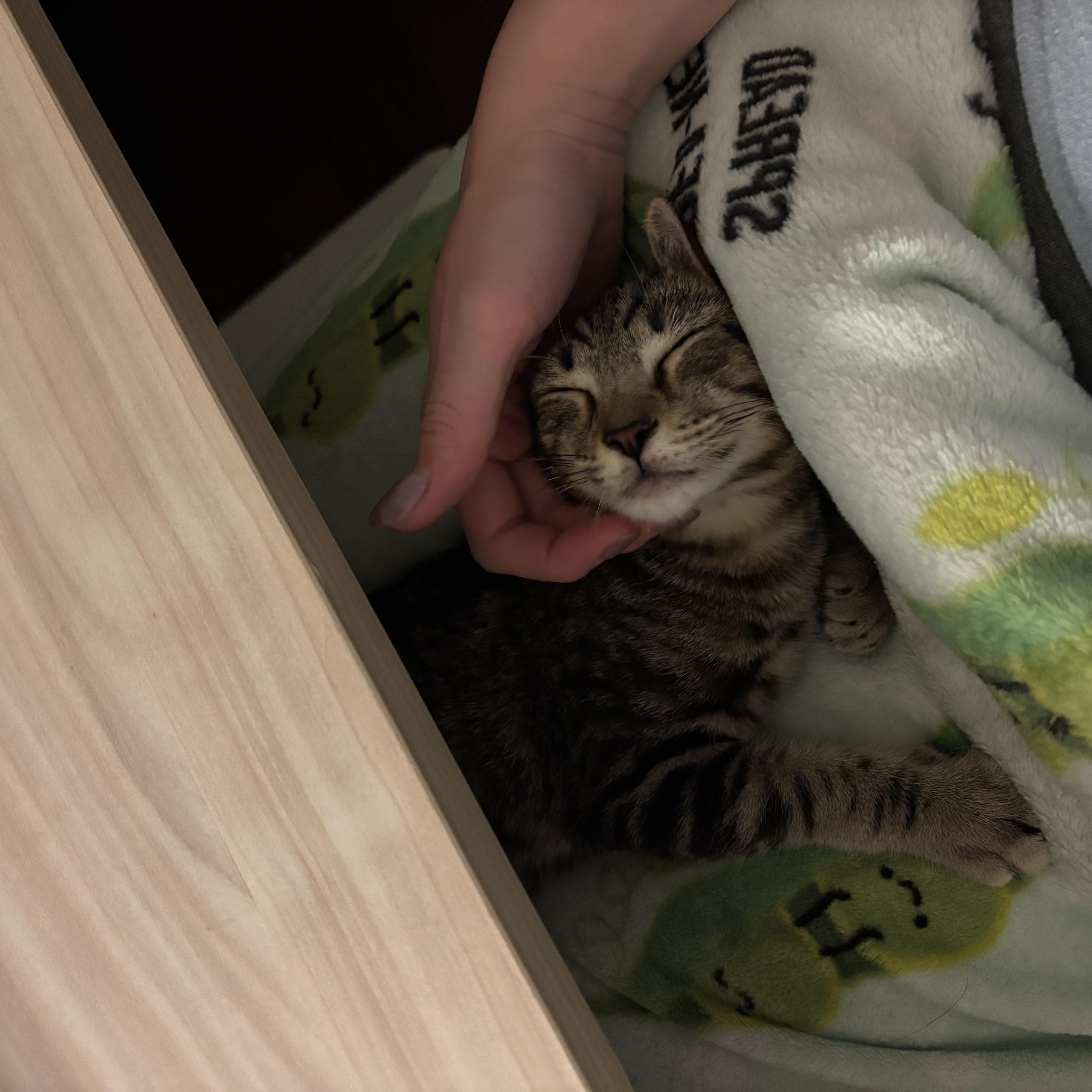 Cooper thumbnail 2