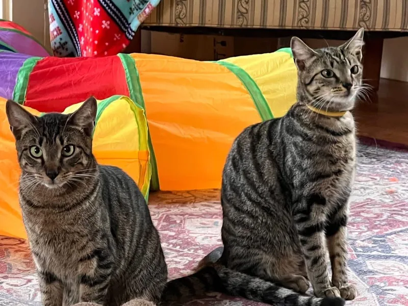 Friedrick & Hans thumbnail 3