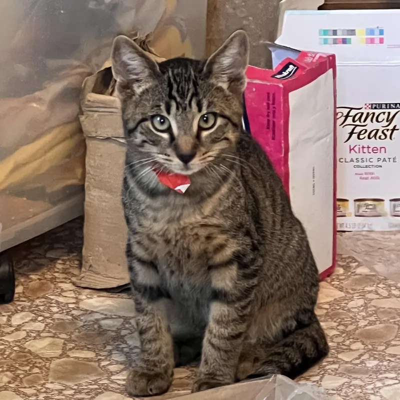 Friedrick & Hans thumbnail 4