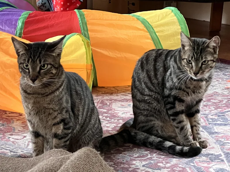 Friedrick & Hans thumbnail 5