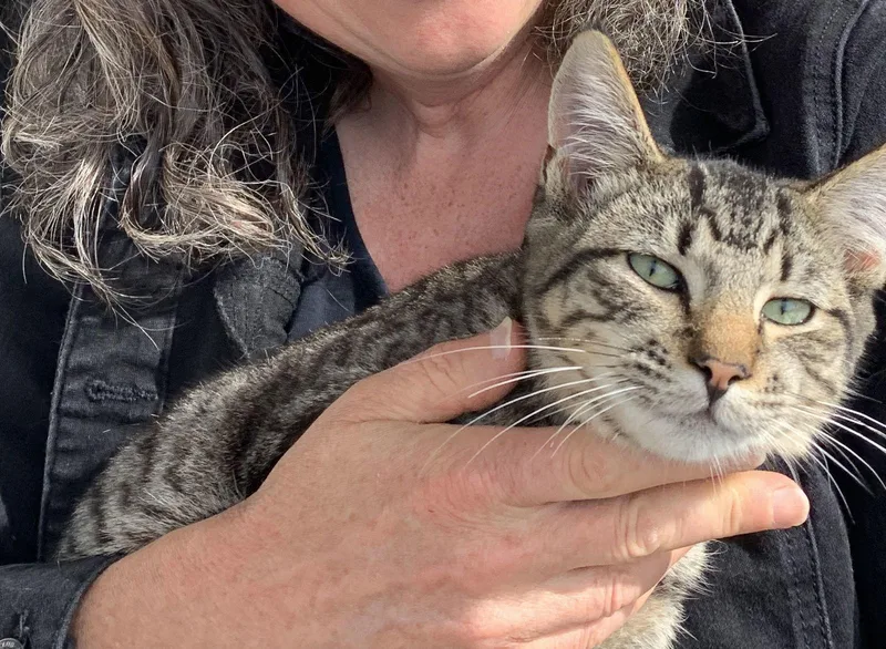 Pepper & Panther thumbnail 2