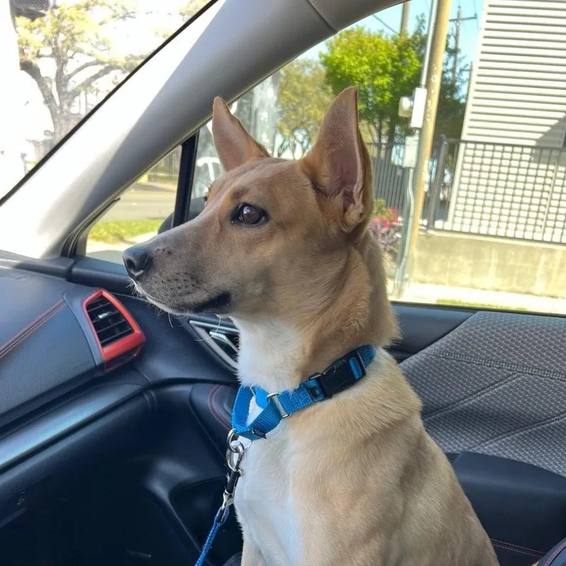 Squeezee Mccheezee thumbnail 4