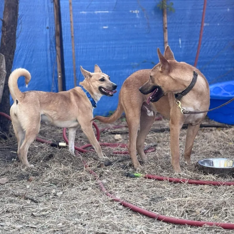 Squeezee Mccheezee thumbnail 5