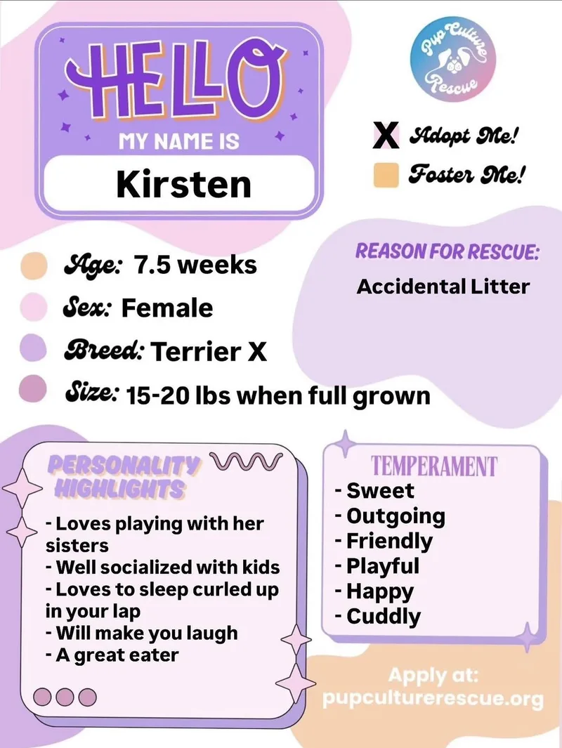 Kirsten thumbnail 2