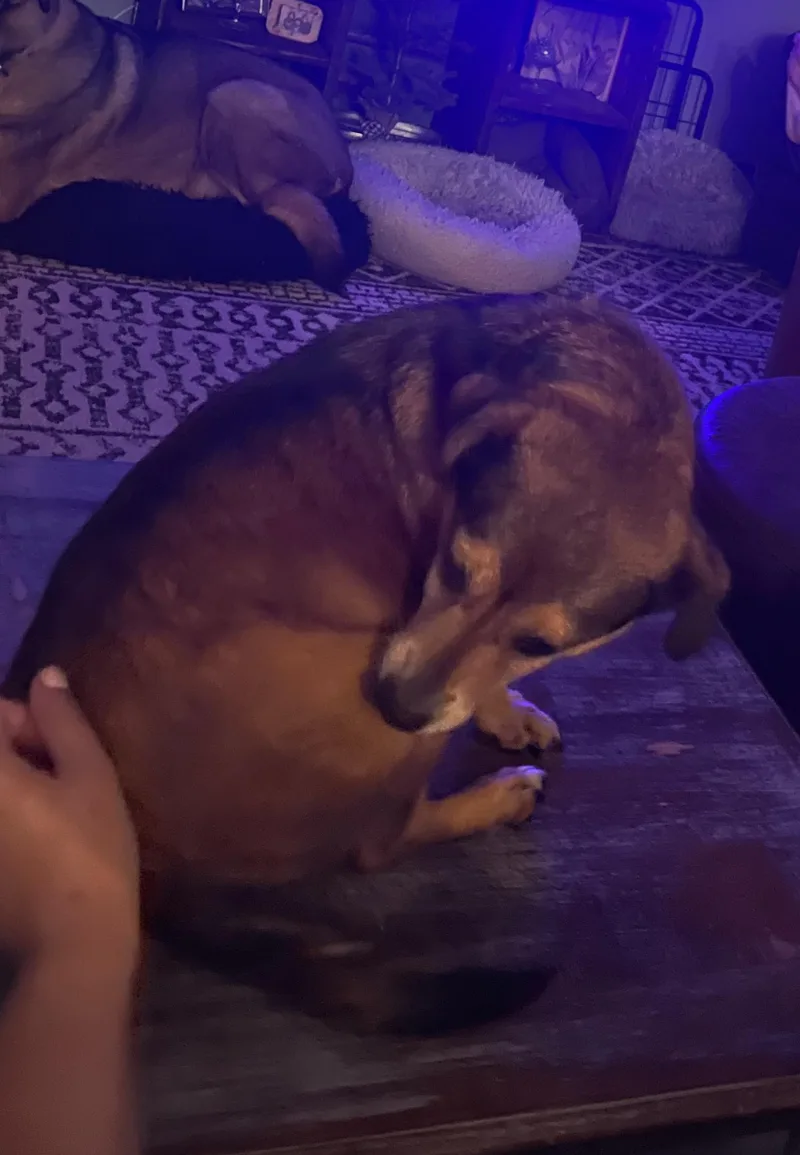 Sadie Sue thumbnail 2