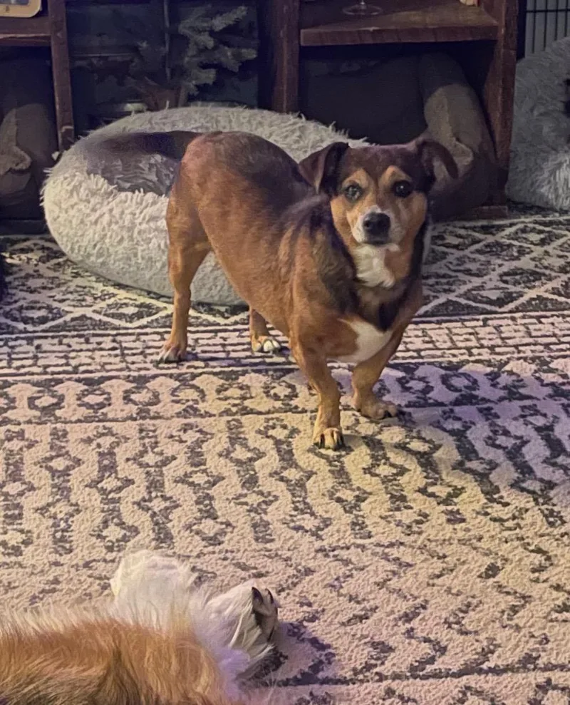 Sadie Sue thumbnail 4