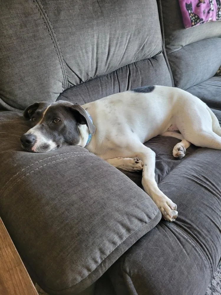 Penny Sue thumbnail 3