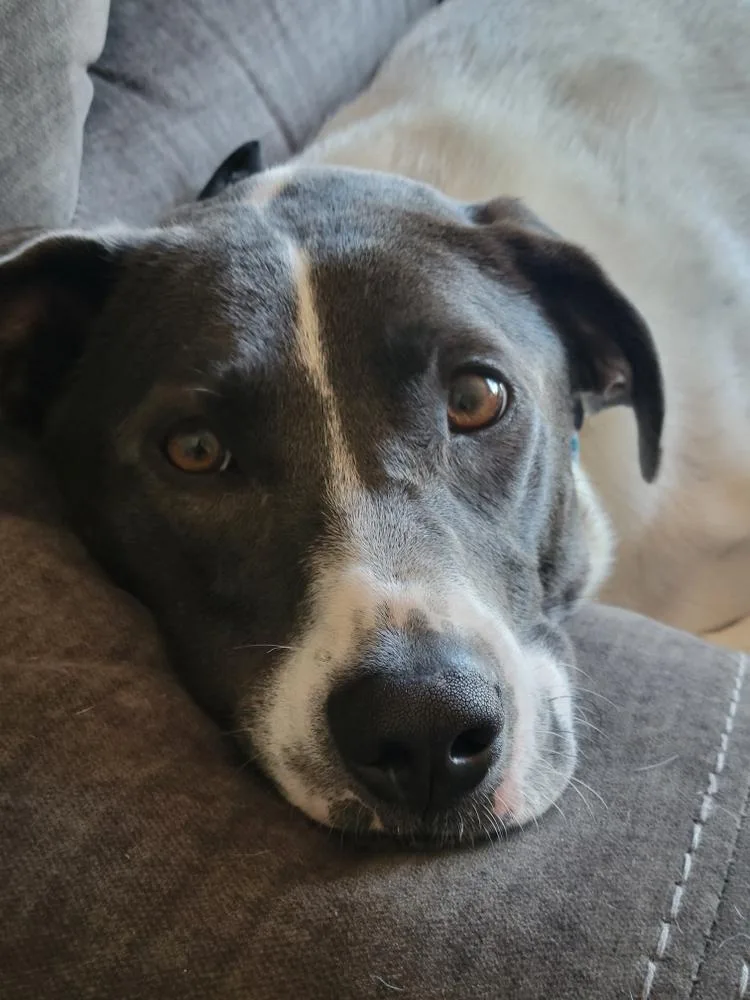 Penny Sue thumbnail 5