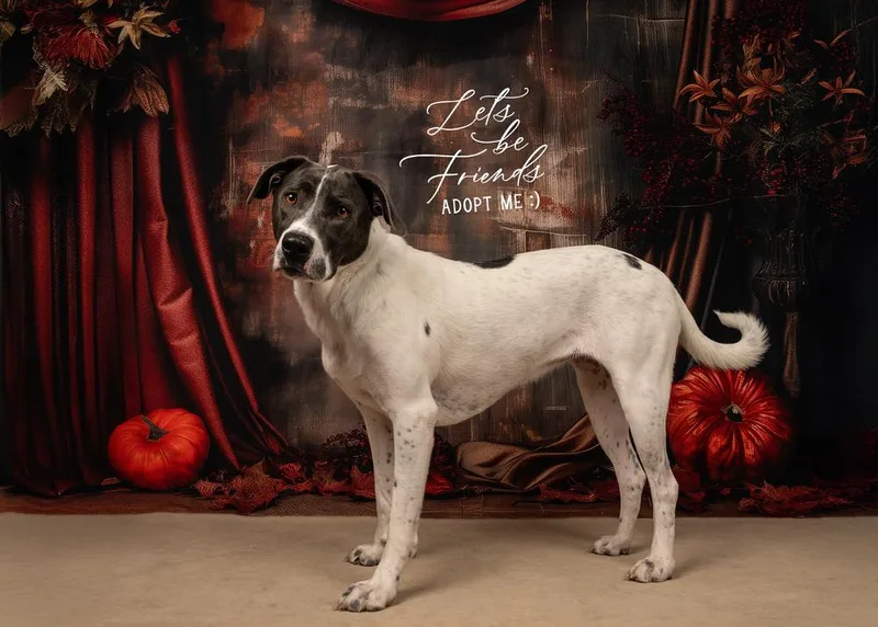 Penny Sue thumbnail 6