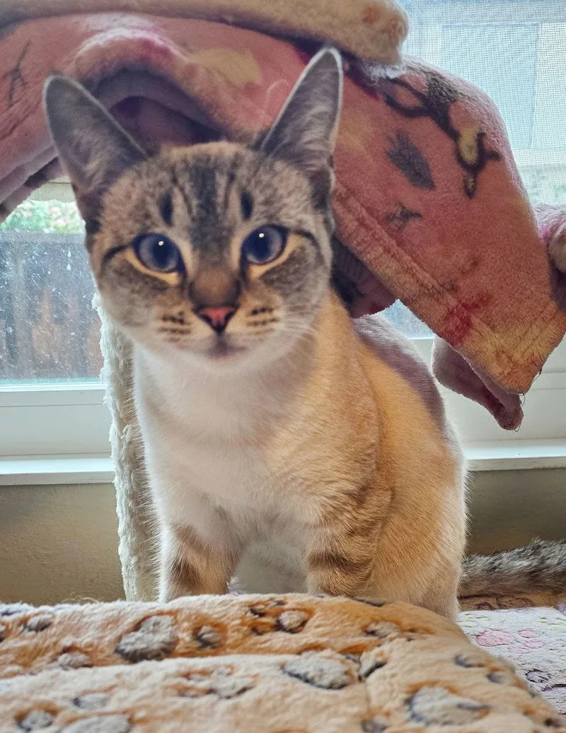 Charlotte And Shasta thumbnail 2