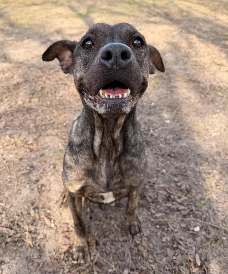 Florence thumbnail 2