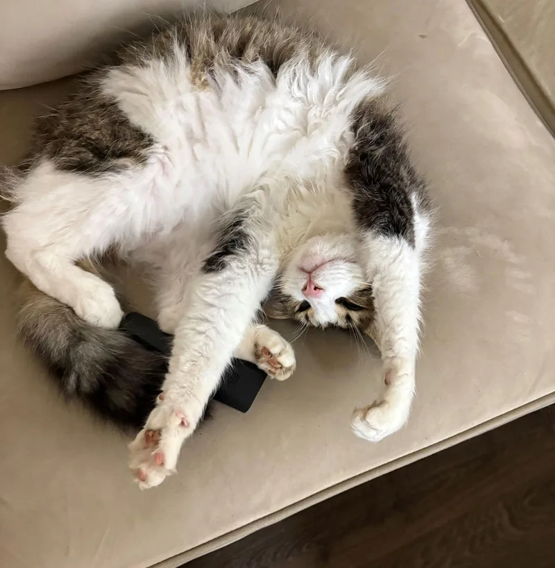 George   Offered thumbnail 2