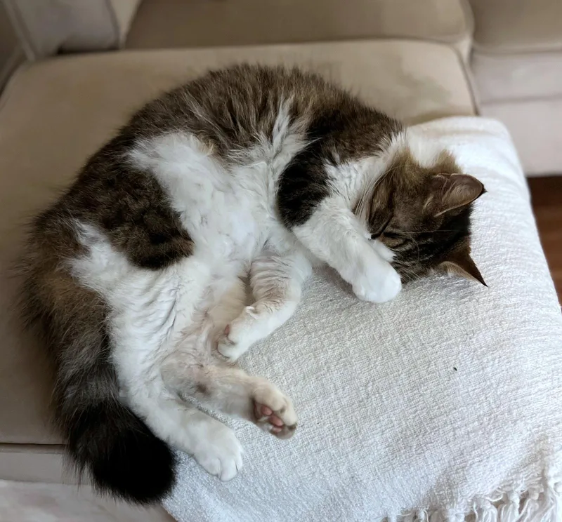 George   Offered thumbnail 3