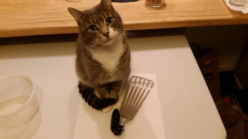 Buddy Smith Os thumbnail 4