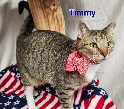 Timmy thumbnail 2