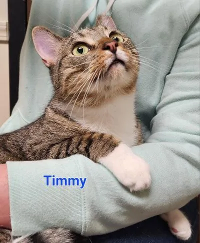 Timmy thumbnail 4
