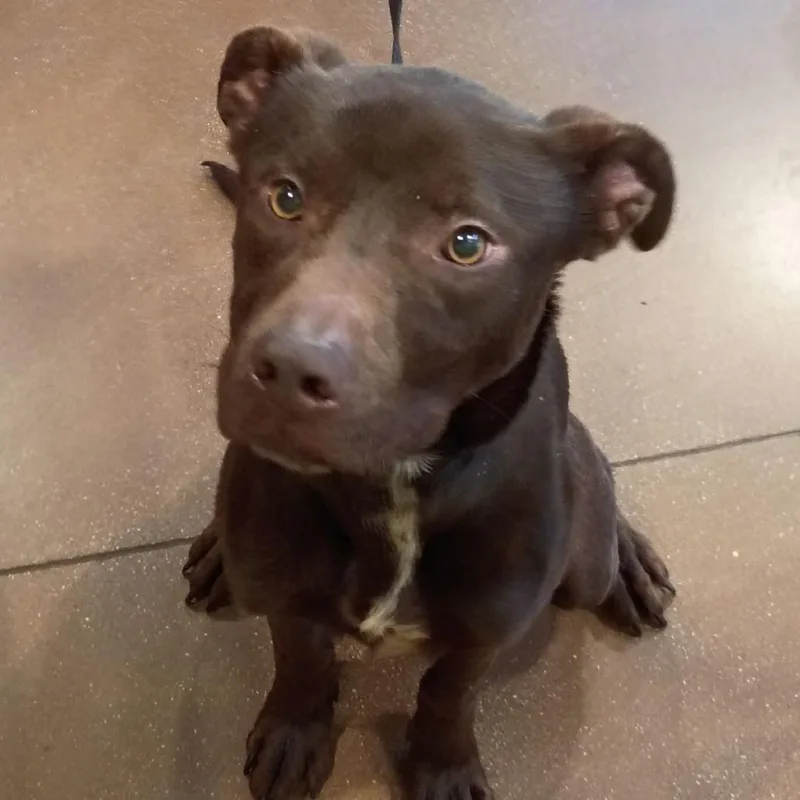 Thornberry thumbnail 2