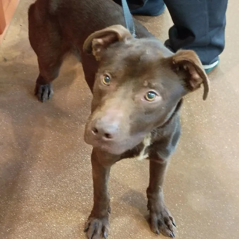 Thornberry thumbnail 3