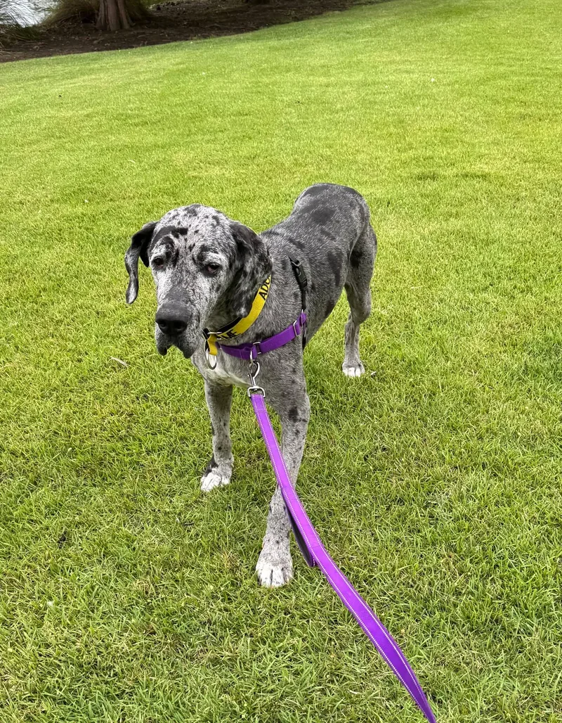 Dottie thumbnail 6