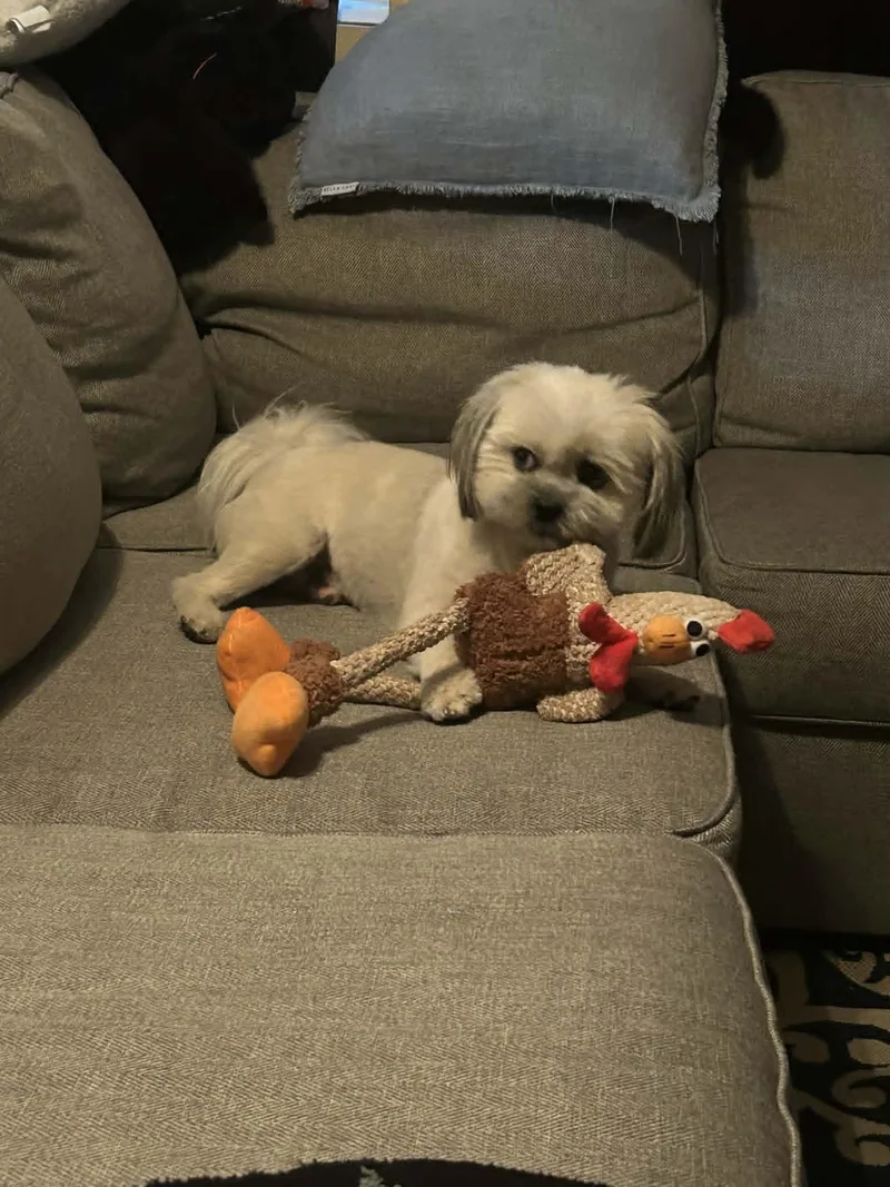 Oliver
