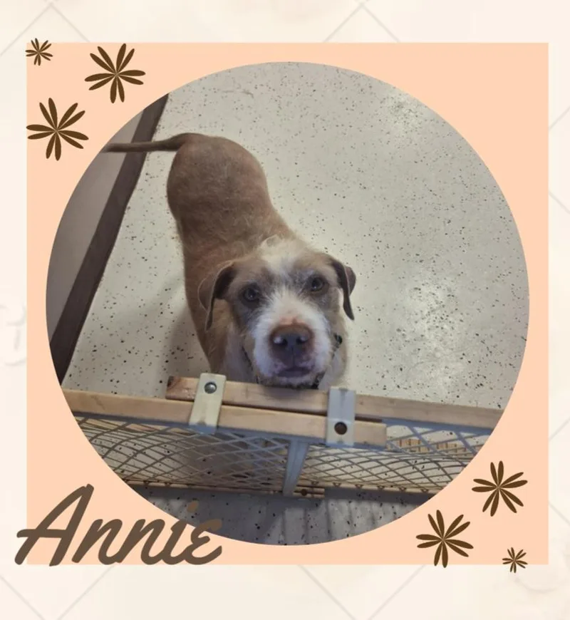 Annie thumbnail 4