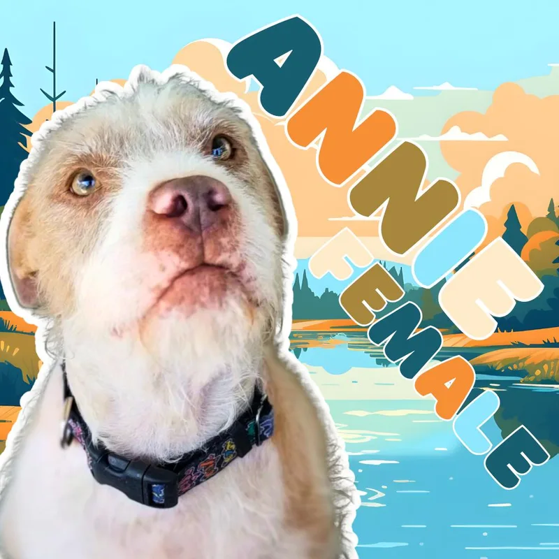 Annie thumbnail 5