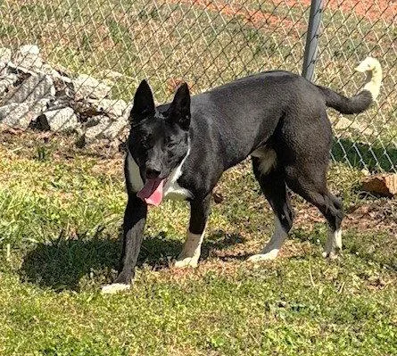 Ferdinand thumbnail 2