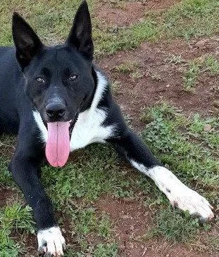 Ferdinand thumbnail 3