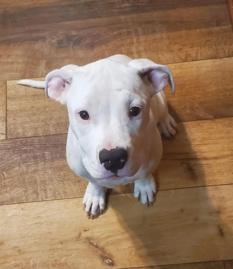 Daisy Mae