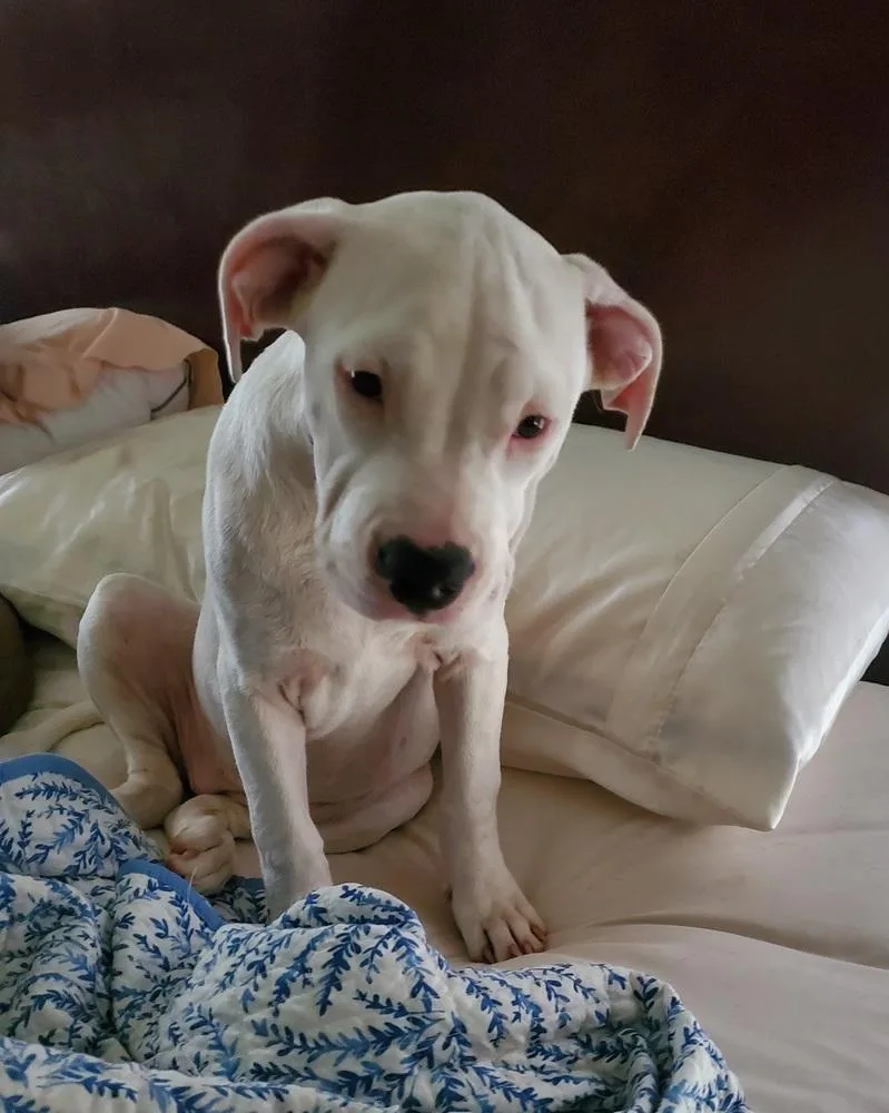 Daisy Mae thumbnail 2