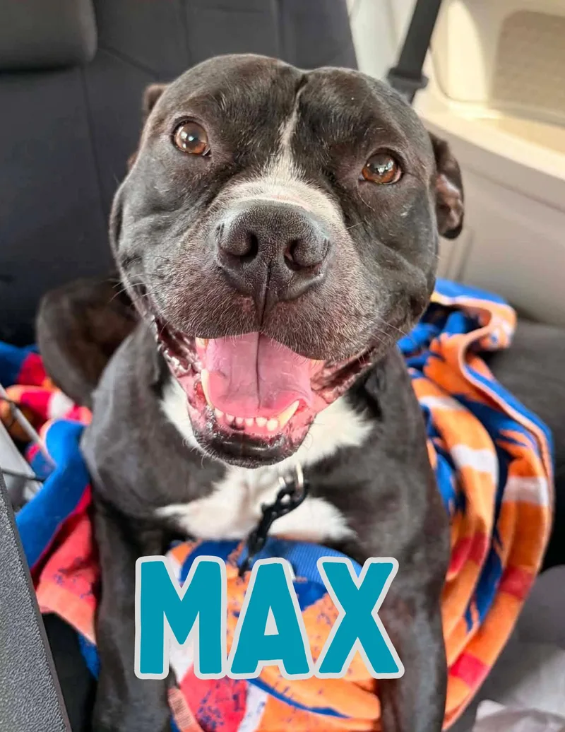 Max thumbnail 4