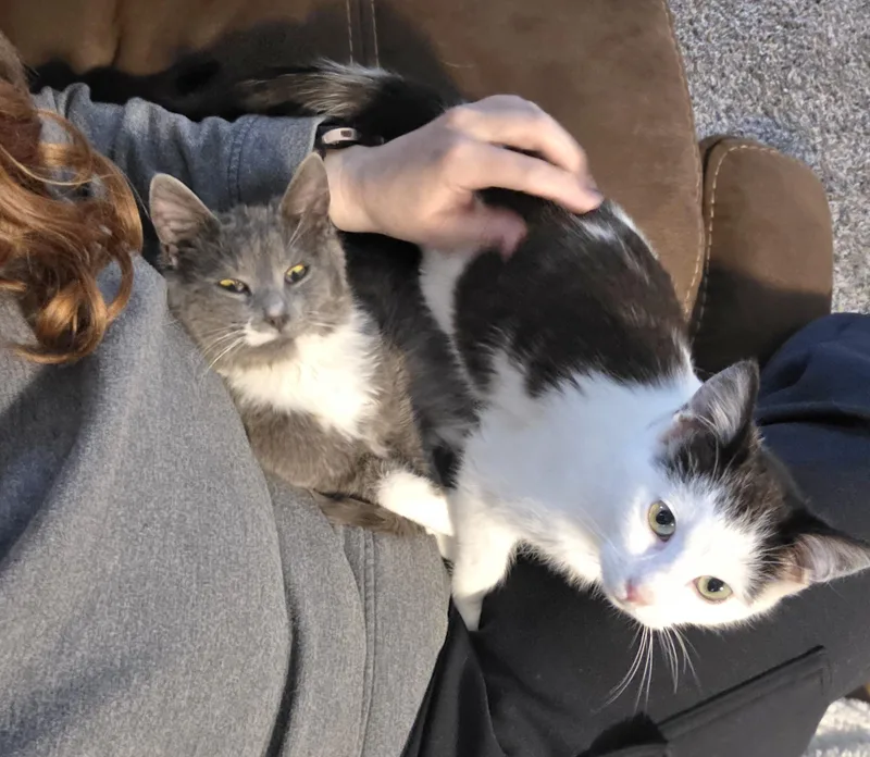 Kate thumbnail 6