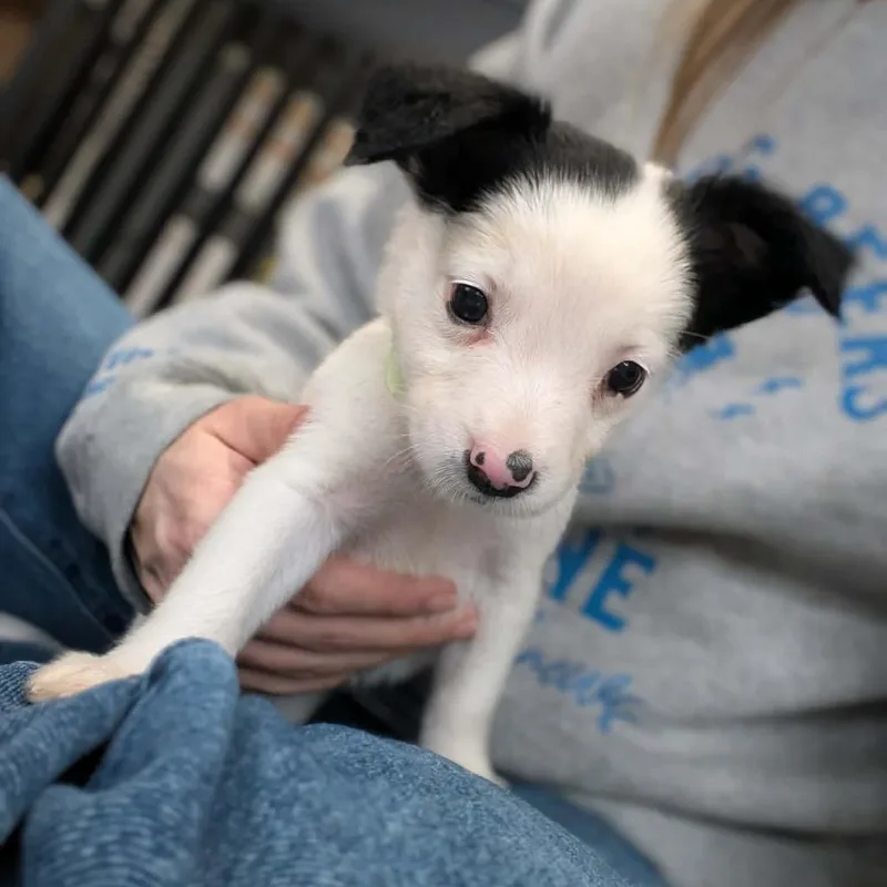 Bernadette thumbnail 2