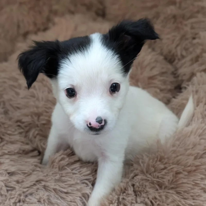 Bernadette thumbnail 3