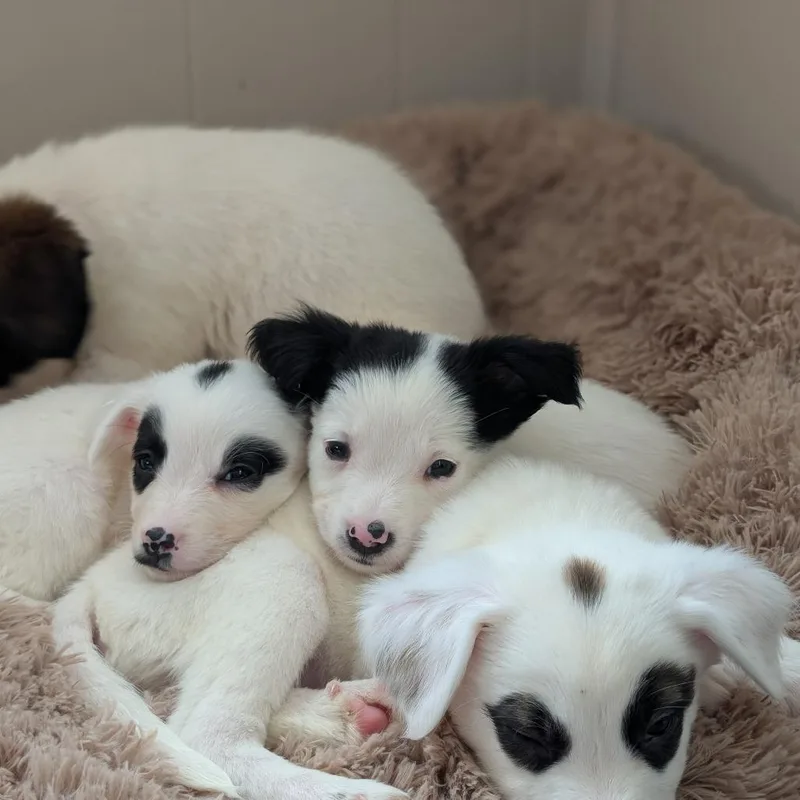 Bernadette thumbnail 4