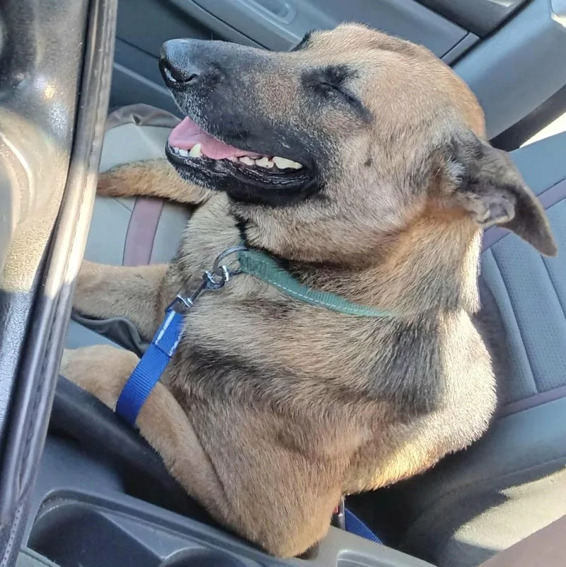 Bruno Uno "your Number thumbnail 2