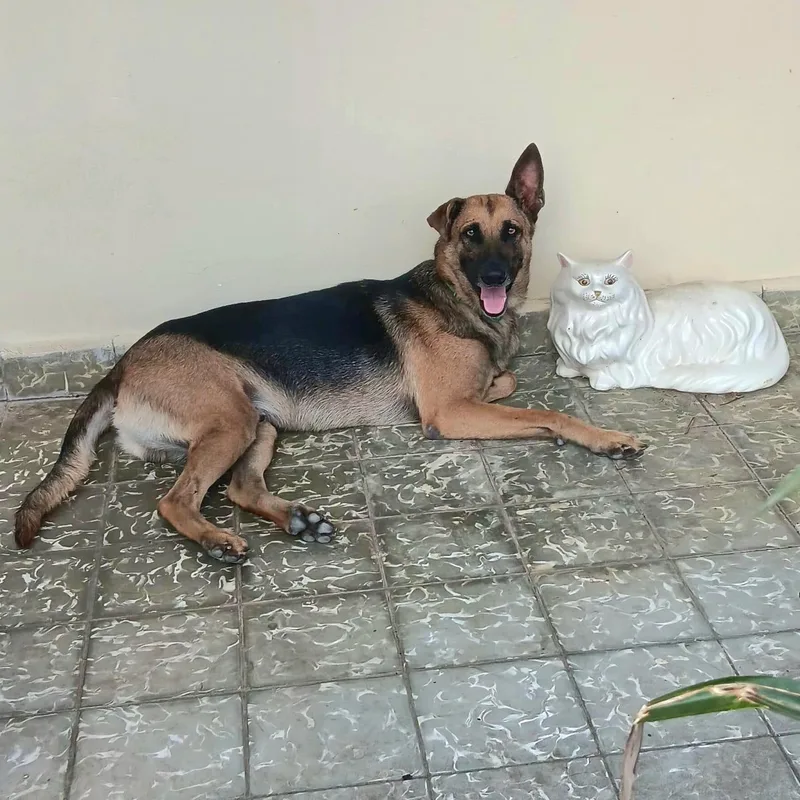 Bruno Uno "your Number thumbnail 3