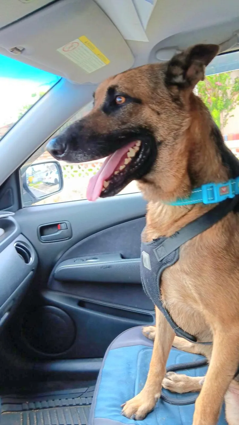 Bruno Uno "your Number thumbnail 4