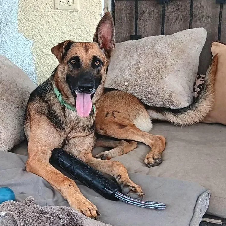 Bruno Uno "your Number thumbnail 5