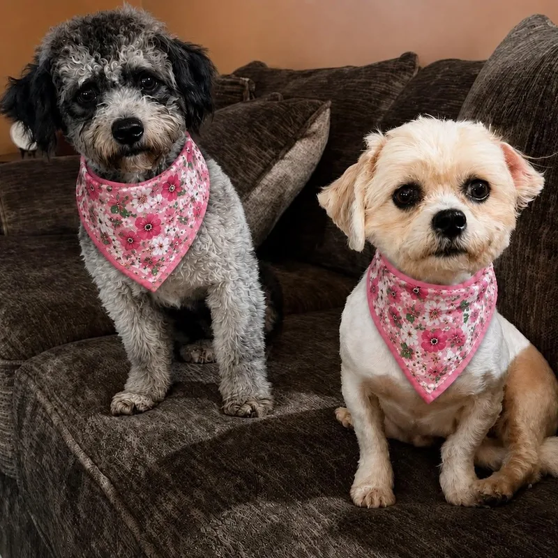 Mandy And Mindy thumbnail 4