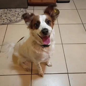 Penny