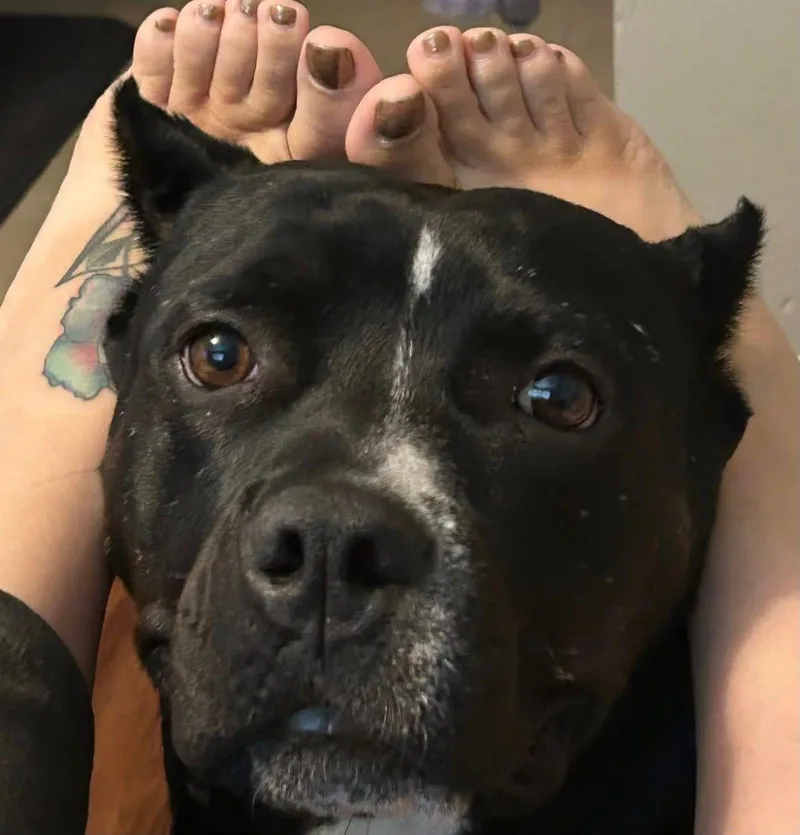 Lola thumbnail 2