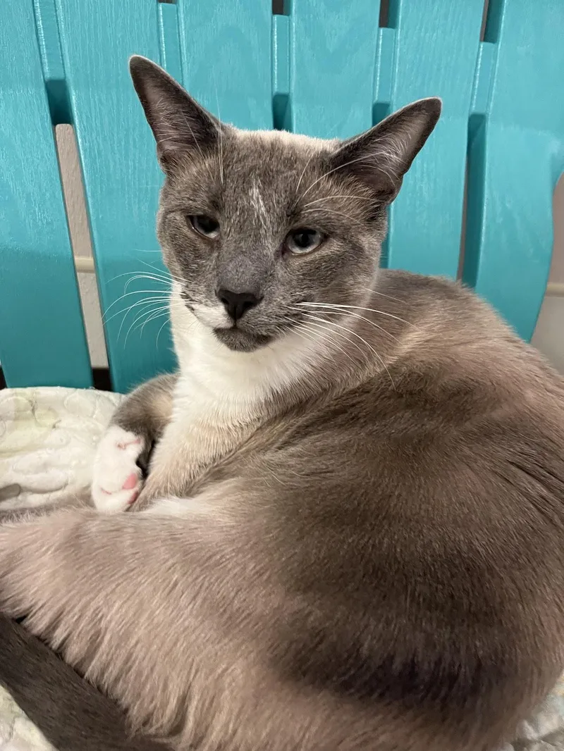 Chuckles thumbnail 2